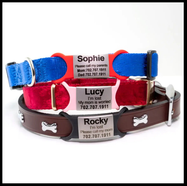 Custom Dog Tag Pets Engraved Name Tag Slide On ID Tags Collar Tags S, M, L, XL