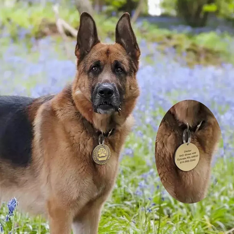 Pet ID Dog cat tag personalized engraving anti loss collar pendant double-sided
