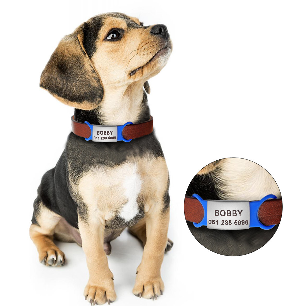 Pet Cat Dog ID Tags Personalized Engraved Name Tag Slide On Collar Tag for Puppy