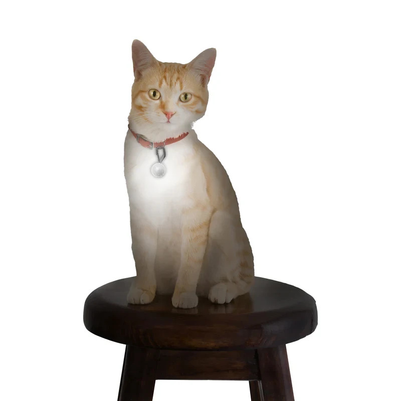 Nite Ize PetLit LED Collar Light – Pet Collar LED Light – Easy Twist On/Off -NEW