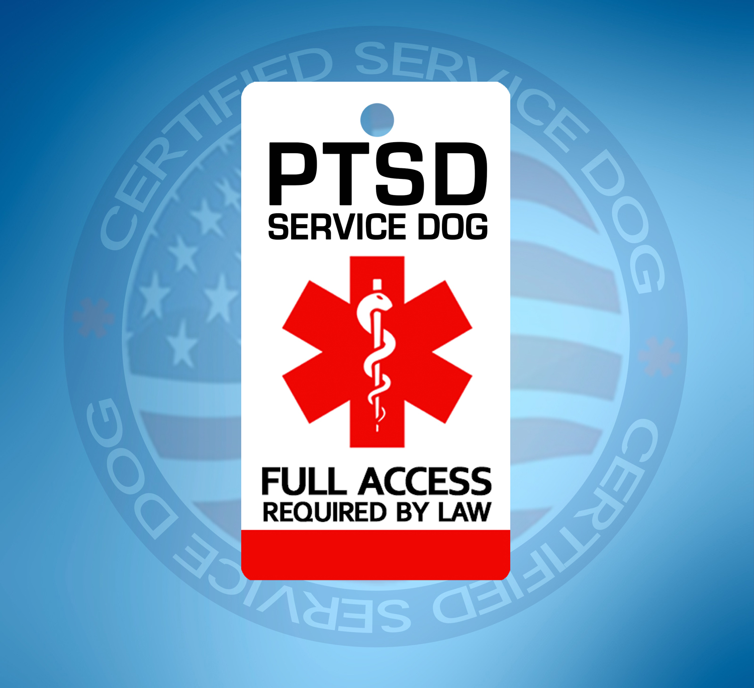 PTSD DOG ID TAG KEY CHAIN / COLLAR TAG FOR POST TRAUMATIC STRESS DISORDER