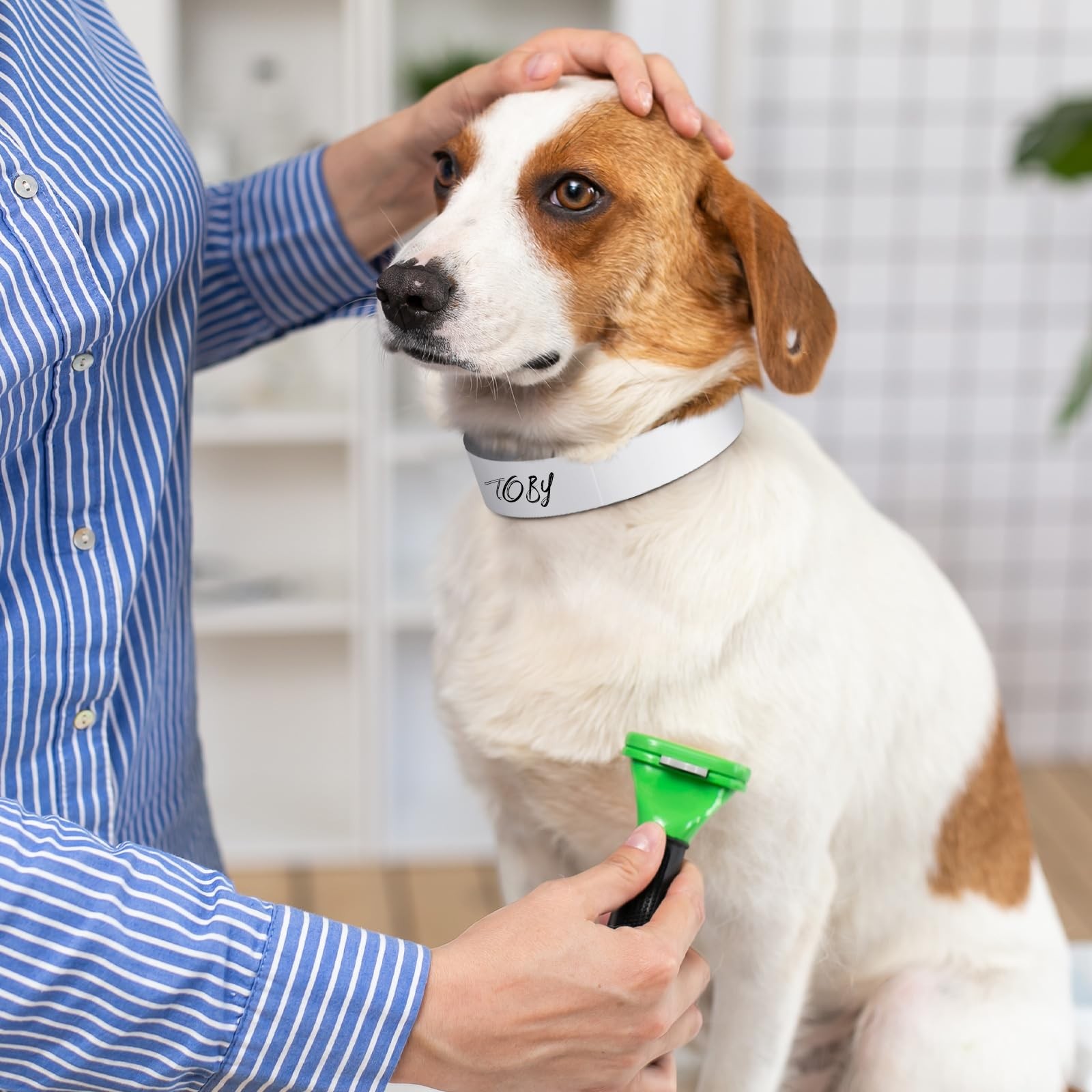 500 Count 20inch Adjustable Paper Dog Collars with Tear Resistant Waterproof Whe