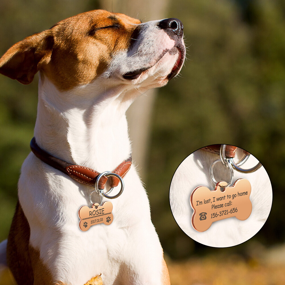 Stainless Steel Personalized Dog Tag Bone Shape Pet Dog ID Name Phone Engraved
