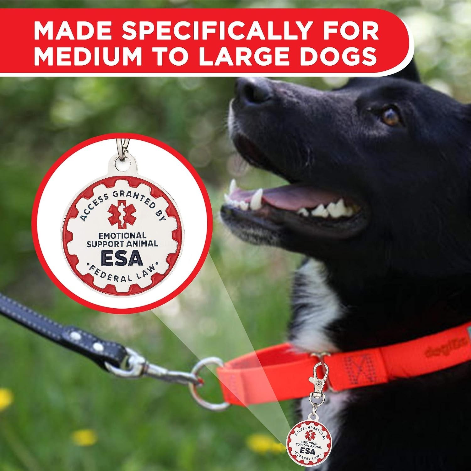 Stainless Steel Emotional Support Dog Tags, 1.25-Inch, Double-Sided