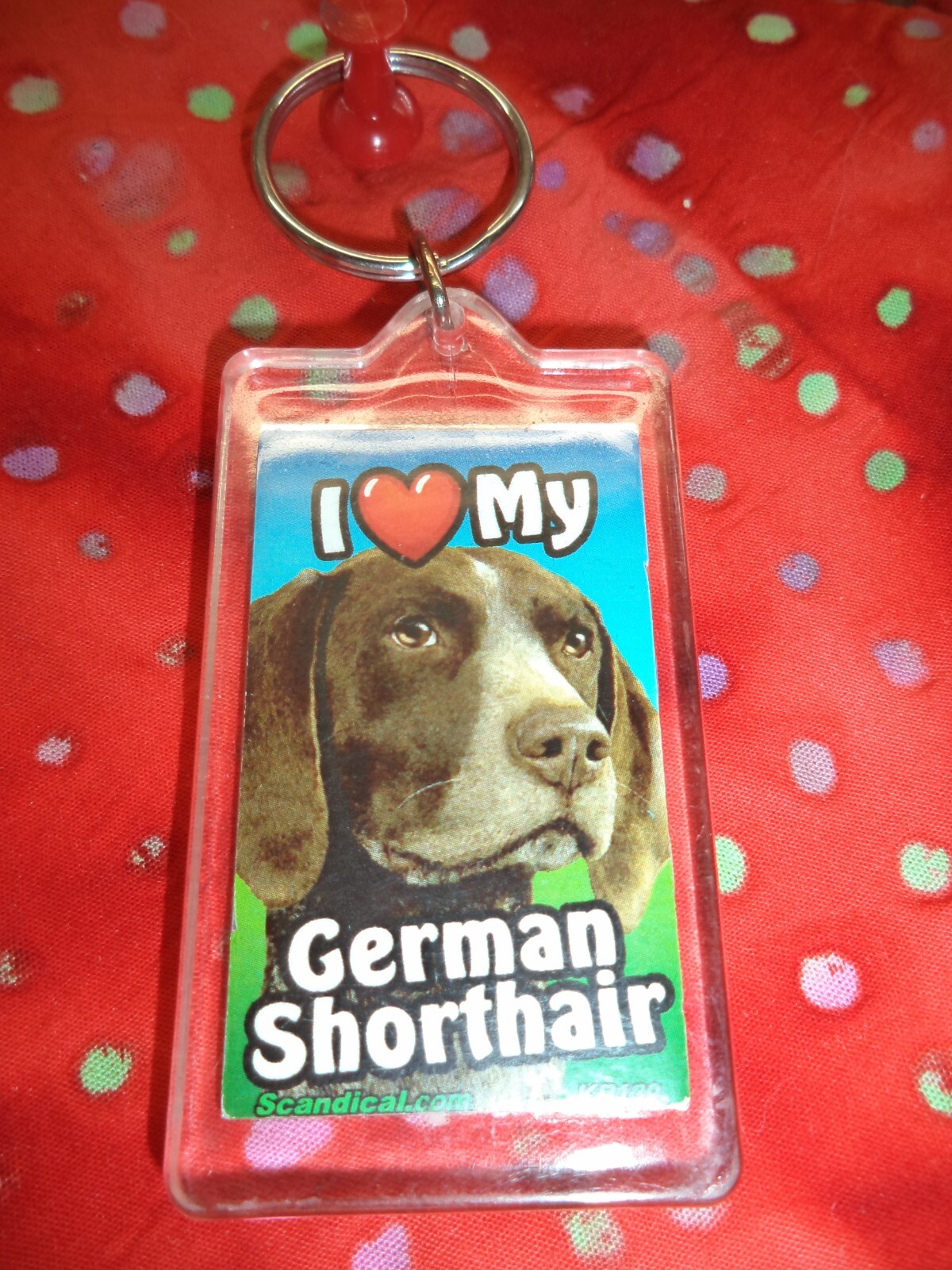 SCANDIAL PET KEY CHAINS – DOUBLE SIDED – I LOVE MY __DOG__ YOU PICK BREED! #1