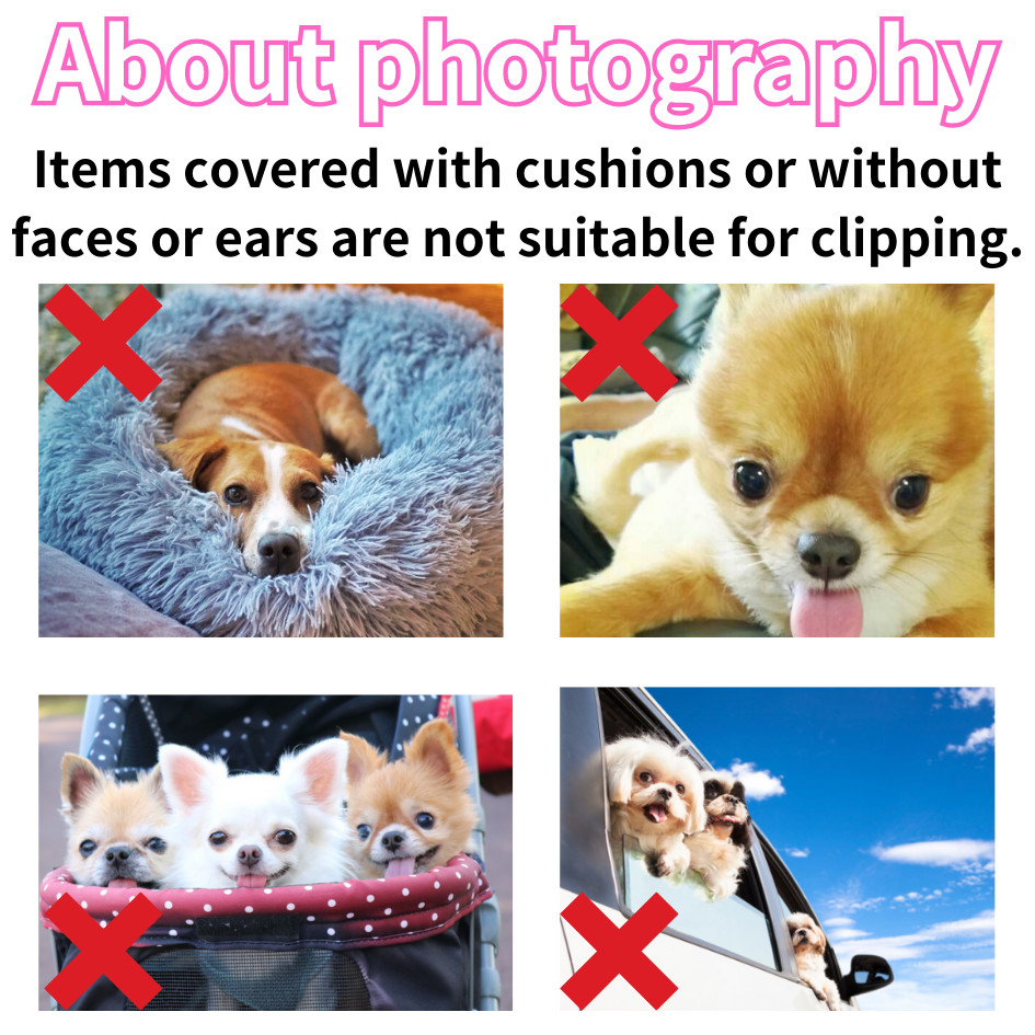 Personalized Original key case Name For Pet Dog Cat Rabbit Bird Custom Photo