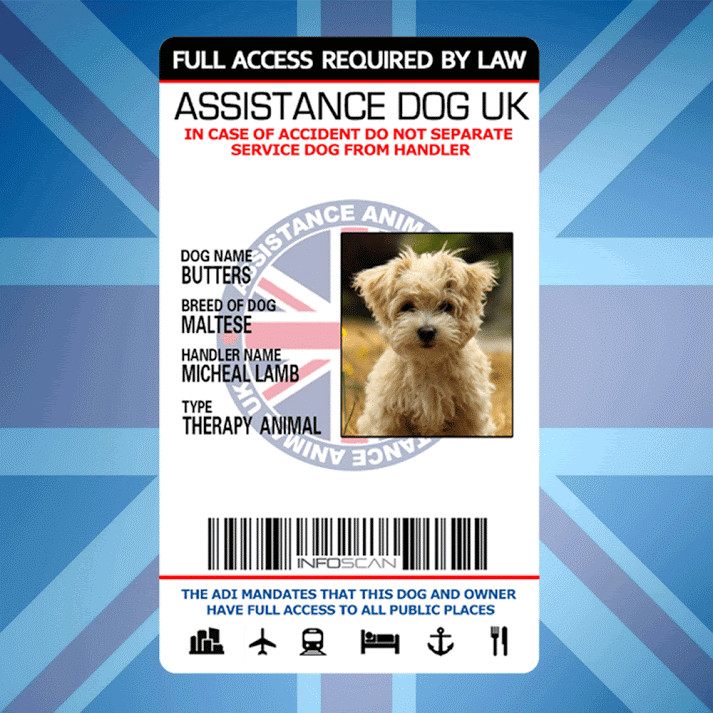 ASSISTANCE DOG UK – SERVICE CARD ID BADGE FOR UNITED KINGDOM GREAT BRITAIN ADi