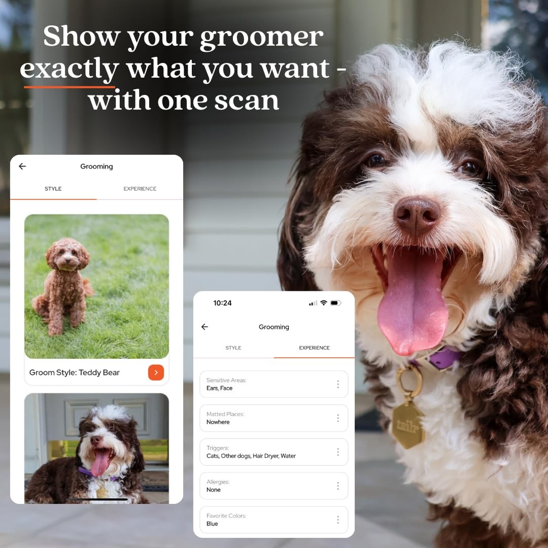 Hanging QR Code Smart Pet ID Tag Large Gold Dog Cat Tag Custom Profile App