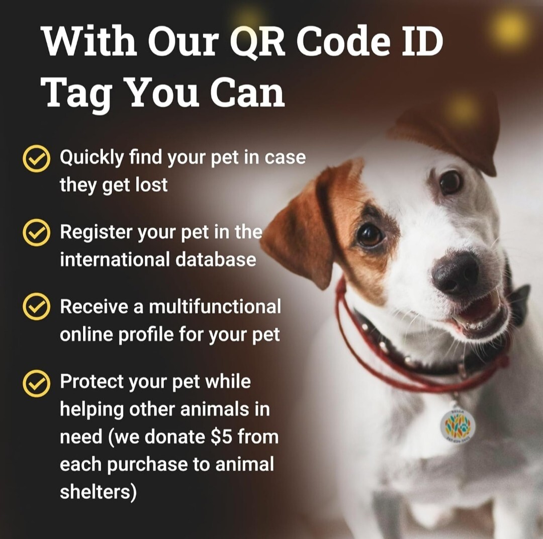 QR Code Dog Tag Silent Id Pet Tags Personalized Name Plate with Online Profil…