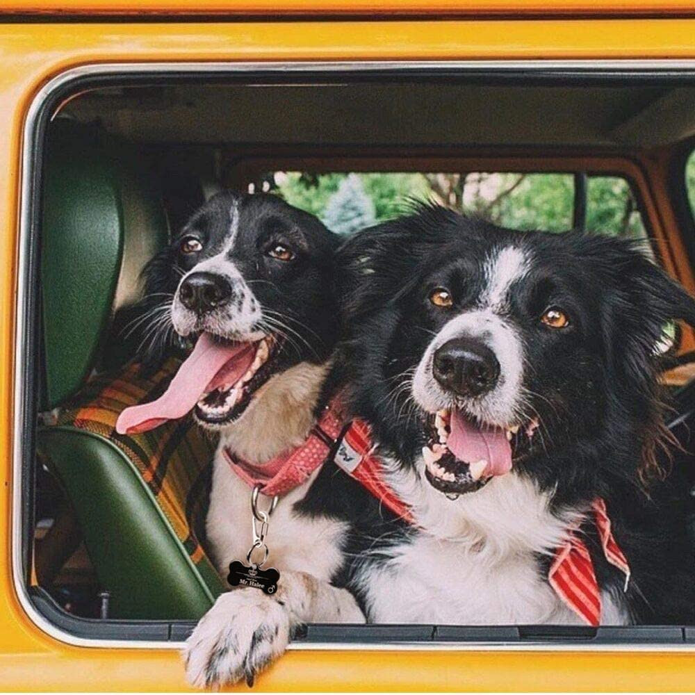 2 Pack Dog Tag Clips, Stainless Steel Heavy Duty Quick Clips Pet ID Tag