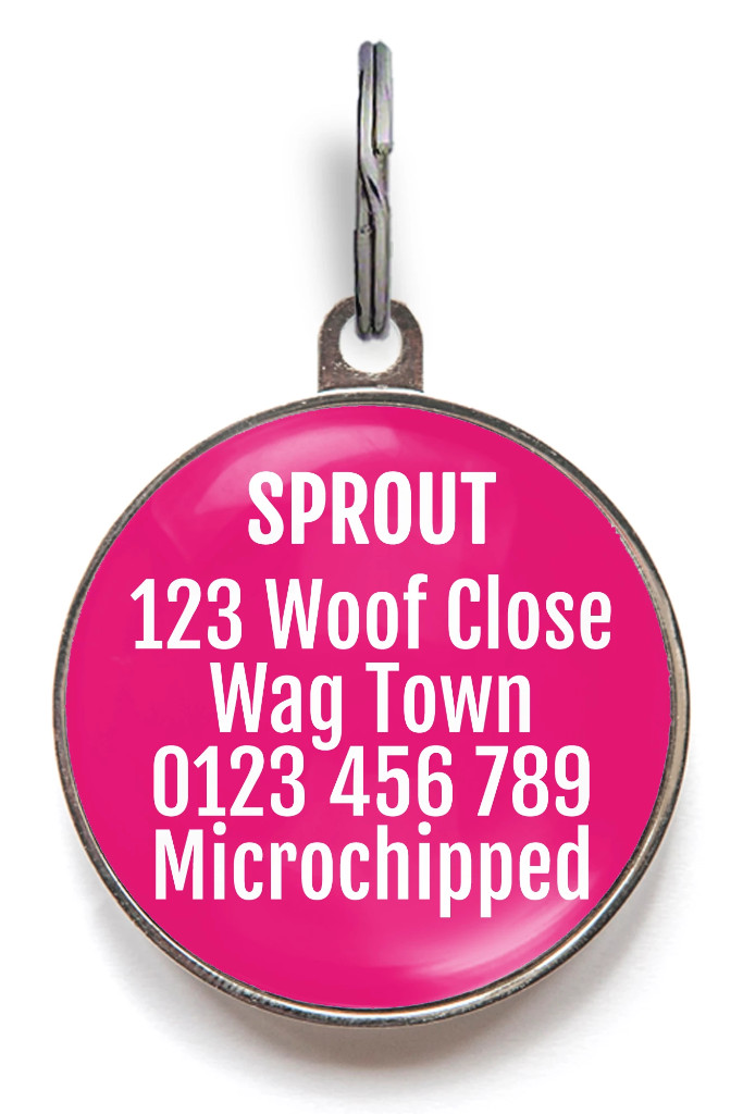 Personalized Dog Tag Daisy Design – Floral Pet ID Tag, 36 Colors, Waterproof