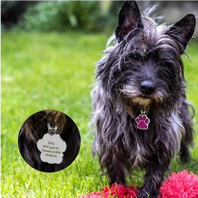 Personalized Pet ID Tag, Dog Tag, Cat Tag, Custom Cat Tag, Easy to Read, Pet Tag
