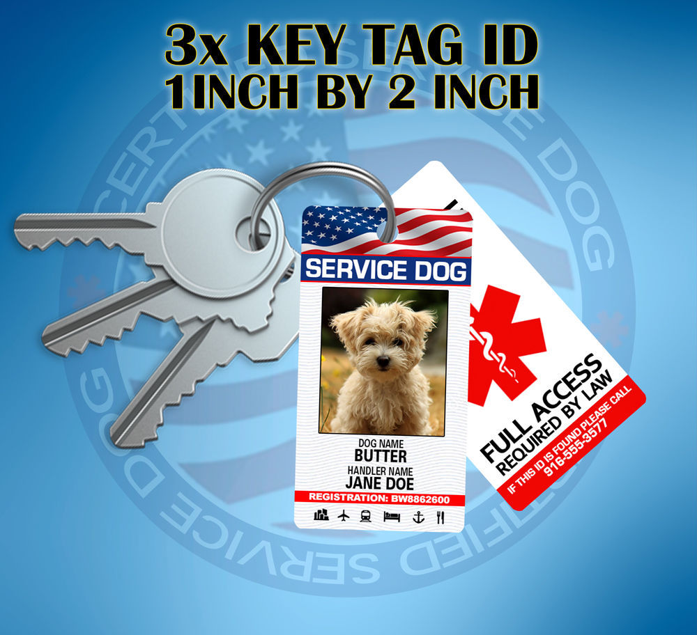SERVICE DOG KEY CHAIN TAG / COLLAR TAG FOR SERVICE ANIMAL ID CARD