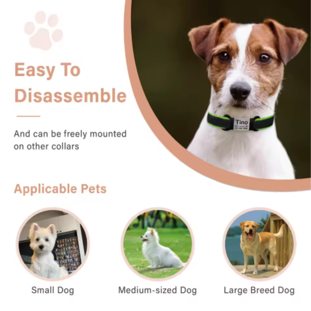 Personalized Pet ID Tag Free Engrave Name Phone Number Stainless Steel Nameplate