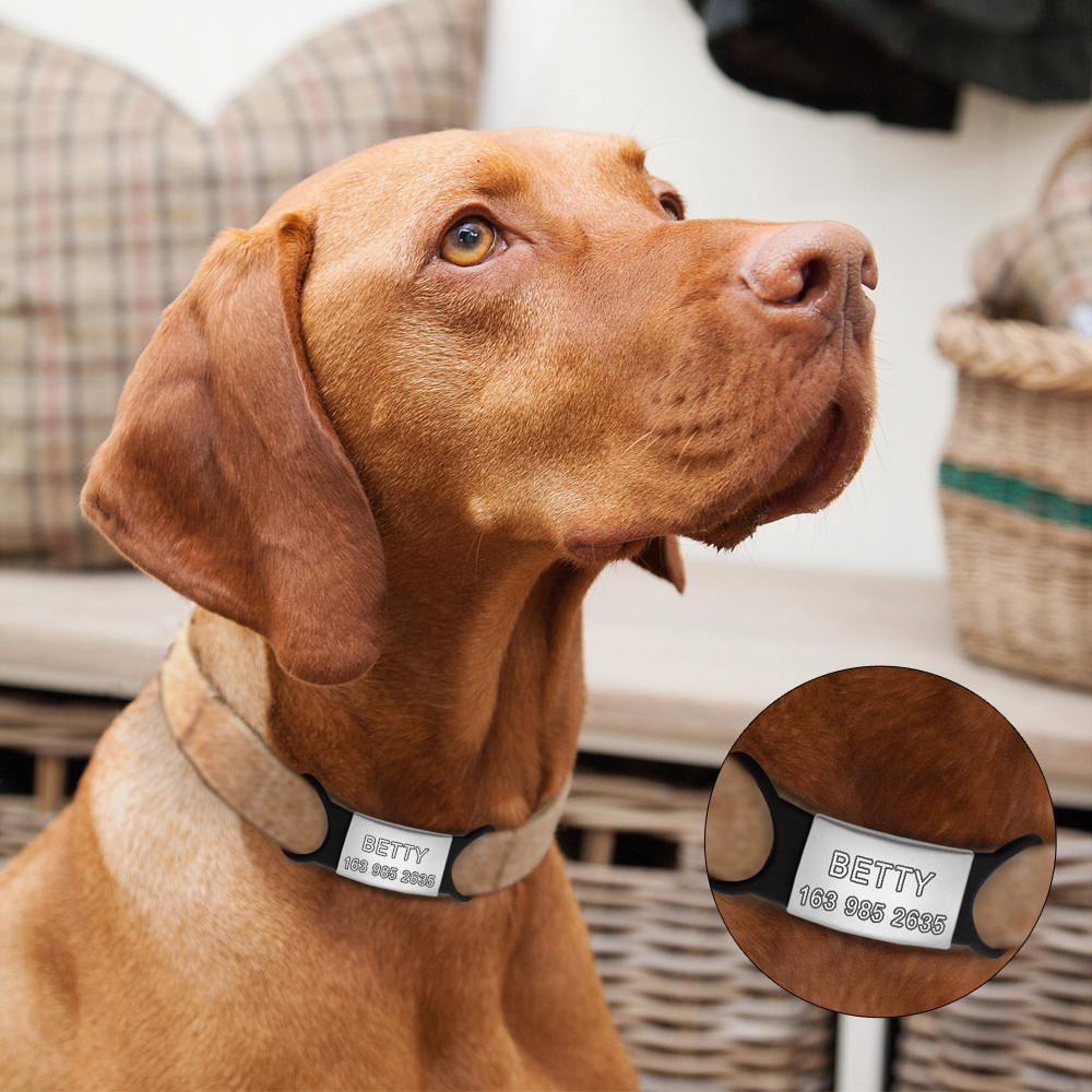 10pcs/lot Wholesale Blank Slide-On Dog Tags for Pets No Noise Pet Collar Tags