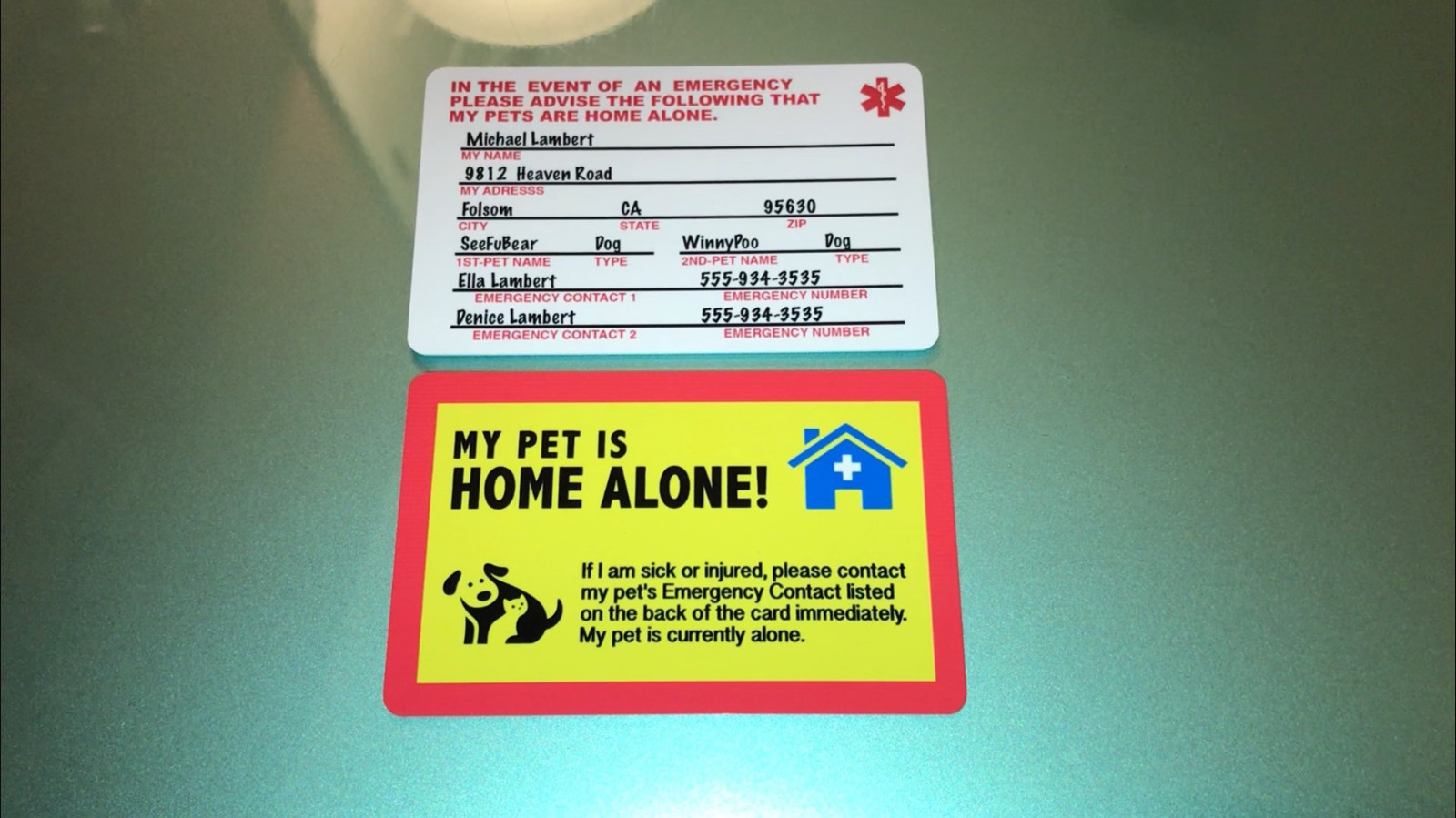 MY DOG IS HOME ALONE – EMERGENCY DOG CAT PET ID WALLET CARD – YELLOW/WHITE