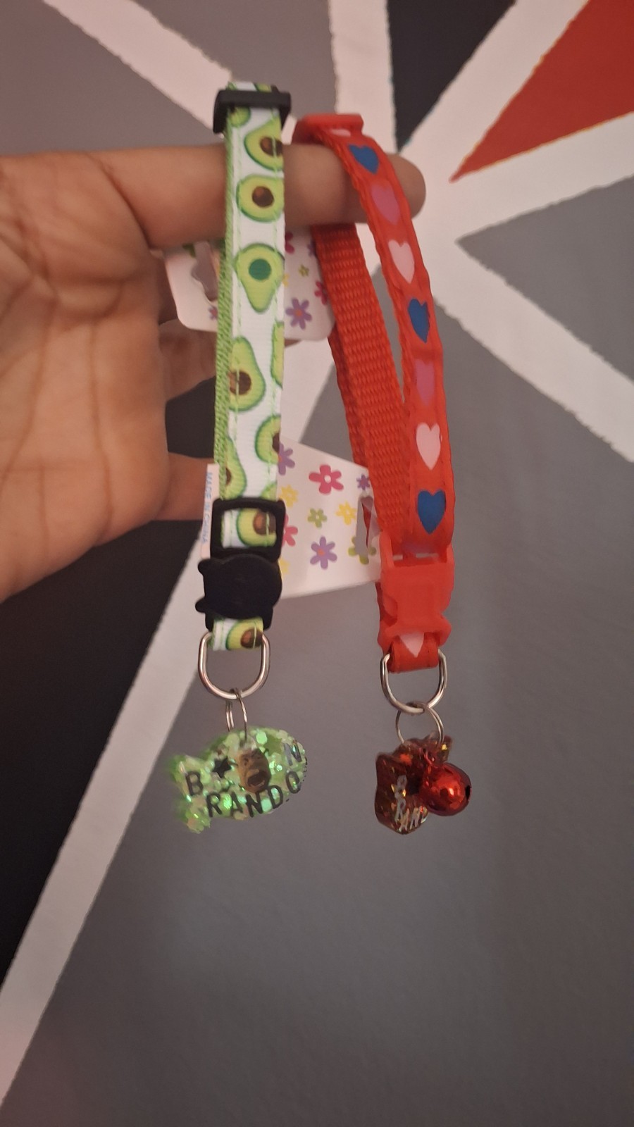 Collar personalizado para mascotas