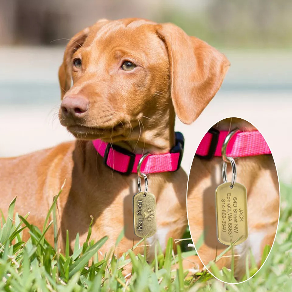 Brass Personalized Dog Tags Military Custom Engraved Pet Name ID Tag For Collar