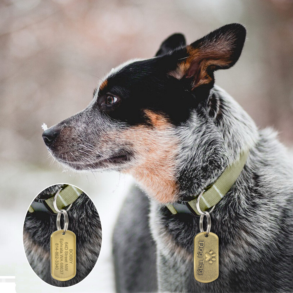 Military Dog Tags Customizable Name ID Collar Tag Engraved Personalized Necklace
