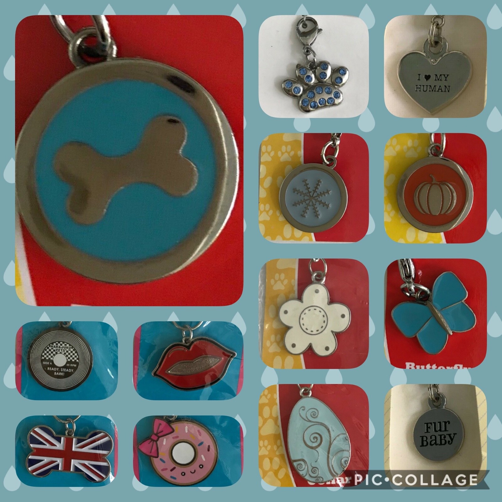 Dog Collar Charms Zipper Pull Purse Charm Pet Dog Puppy Cat SALE BOGO FREE