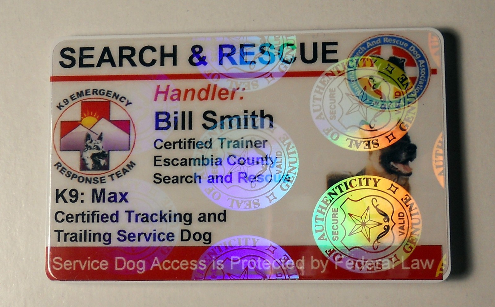 HOLOGRAPHIC SEARCH AND RESCUE SERVICE DOG ID BADGE CUSTOM CARD WORKING DOG 25