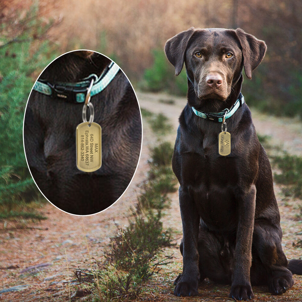 BRASS DOG TAGS RECTANGLE PERSONALIZED CUSTOM PET NAME ID ENGRAVED FOR COLLAR
