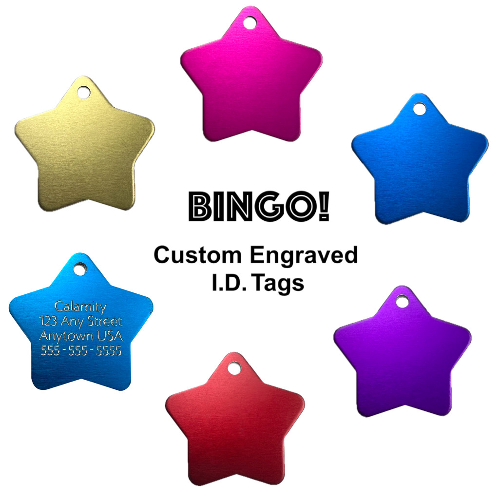 Custom Engraved Dog Tags Personalized Dog Collar Pet Tags Engraved ID SUPER STAR