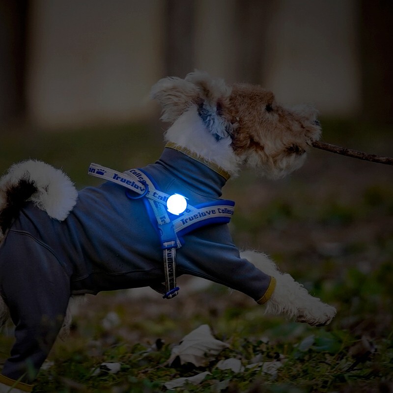 Truelove LED Light-Up Dog Harness Rechargeable IP65 Red Black Blue Green UK