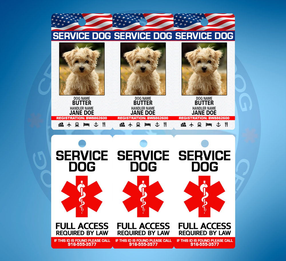 SERVICE DOG ID CARD KEY CHAIN TAG – Customized WITH YOUR PET PIC AND INFO –