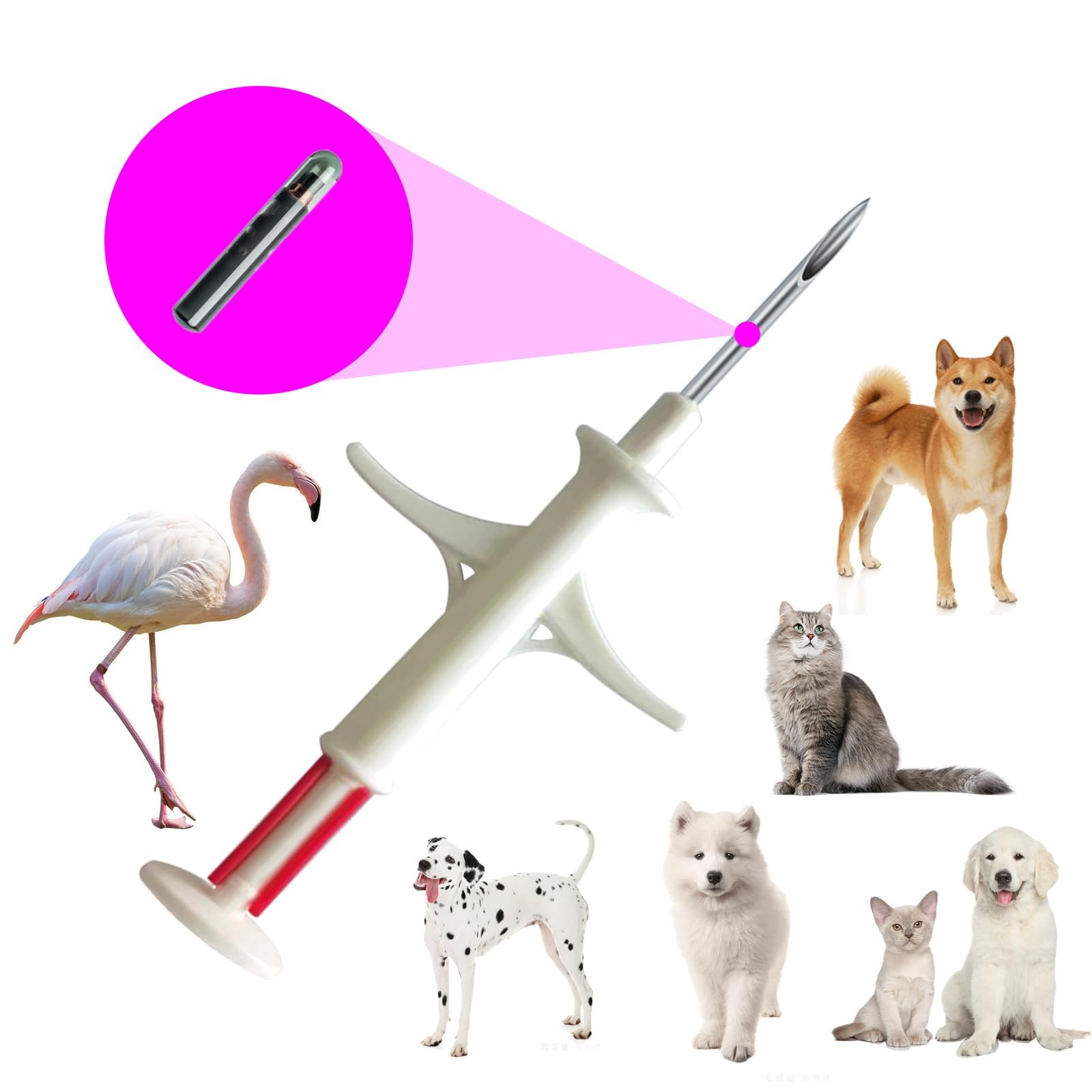 Manruta 10 Pack Mini Size ISO Pet ID Microchip Implant Kit for Small Puppies and