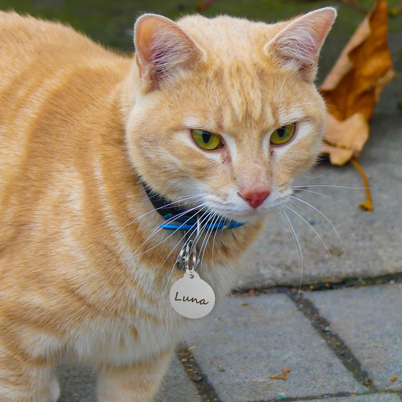 25 Blank Dog Tags for Engraving – Personalized Pet ID Tags