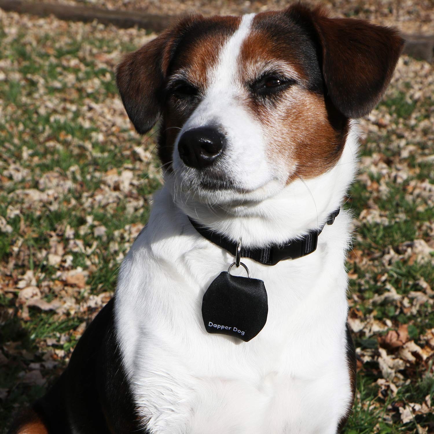 Dapper Dog – Dog Tag Silencer with Tag Ring (Black)