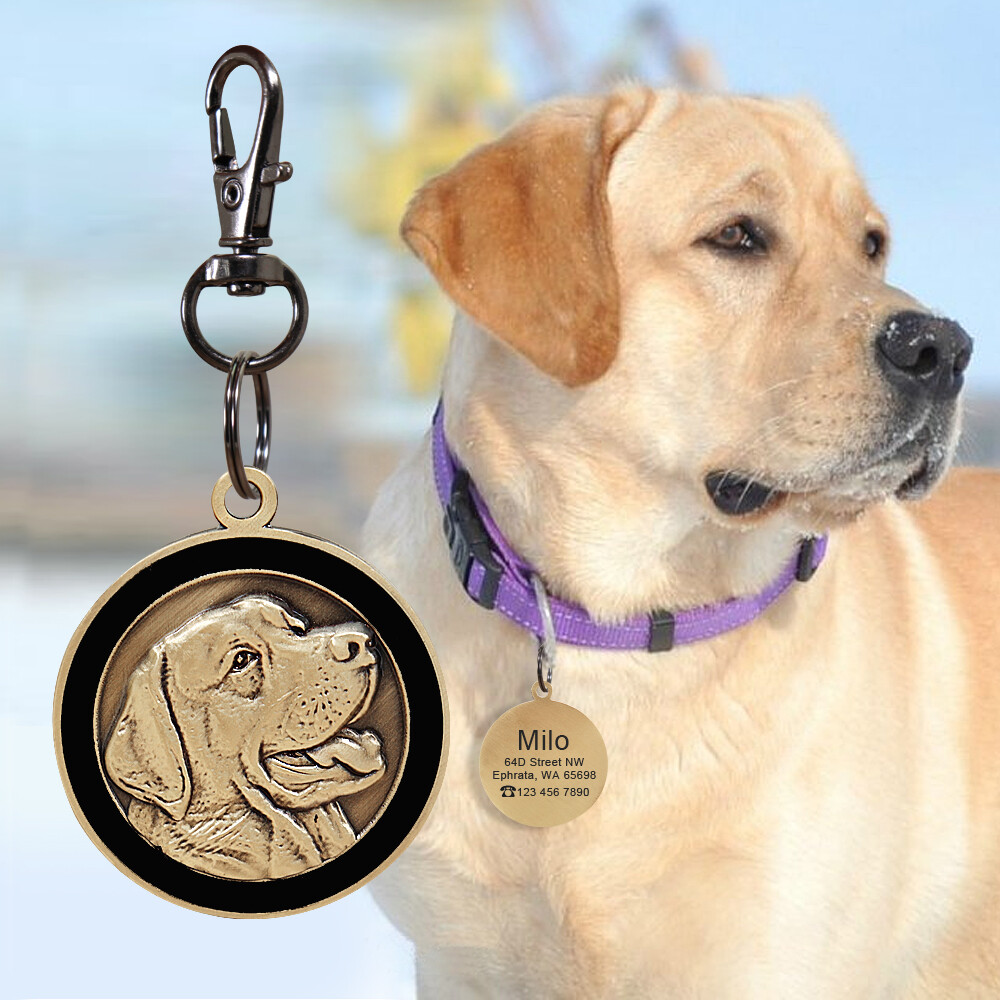 Customized 3D Brass Dog Tags Personalized Pet Puppy ID Name Number Engraved Free