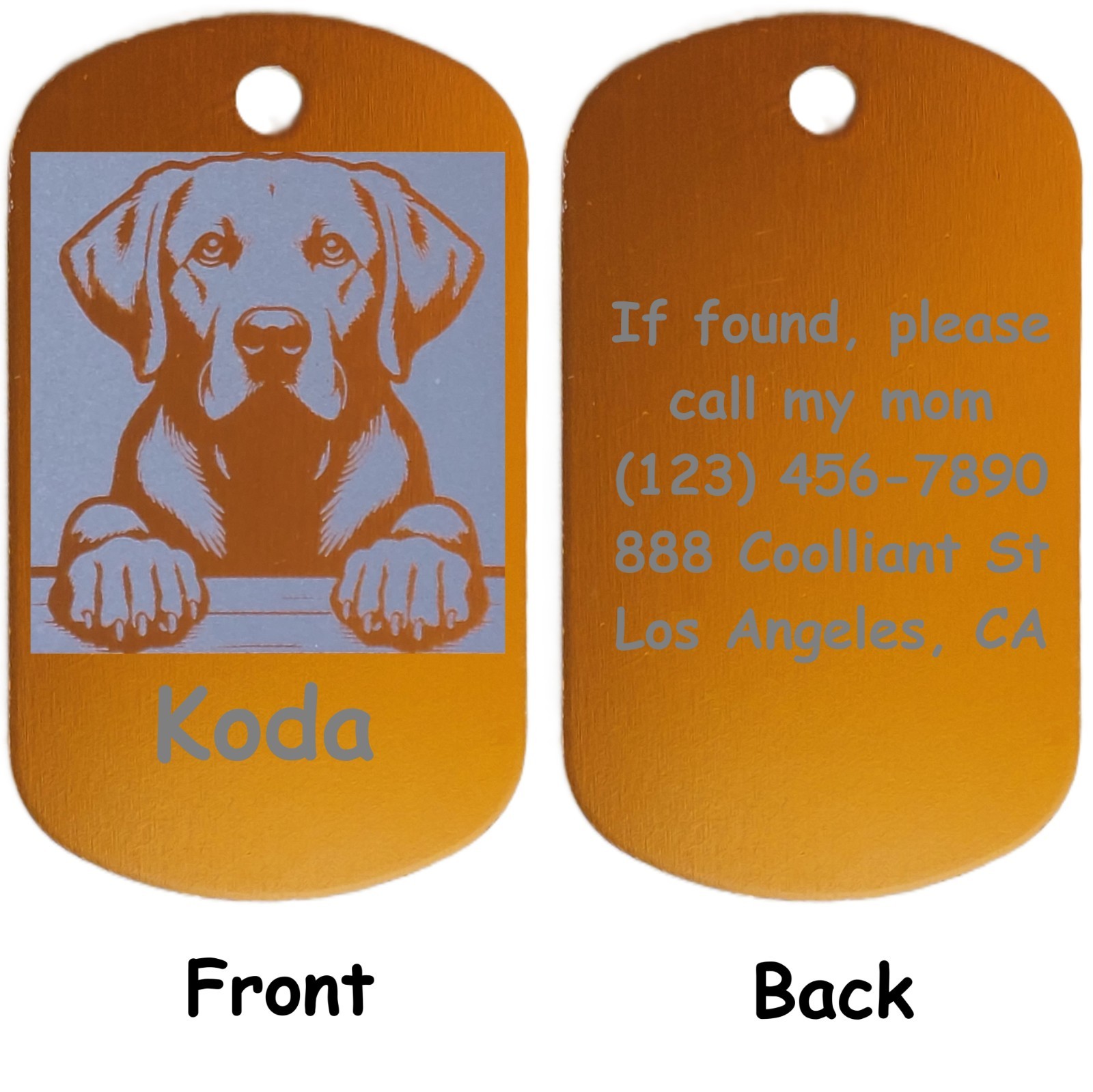 Military Style Personalized Labrador Retriever Dog ID/Name Tag for Pet Collar