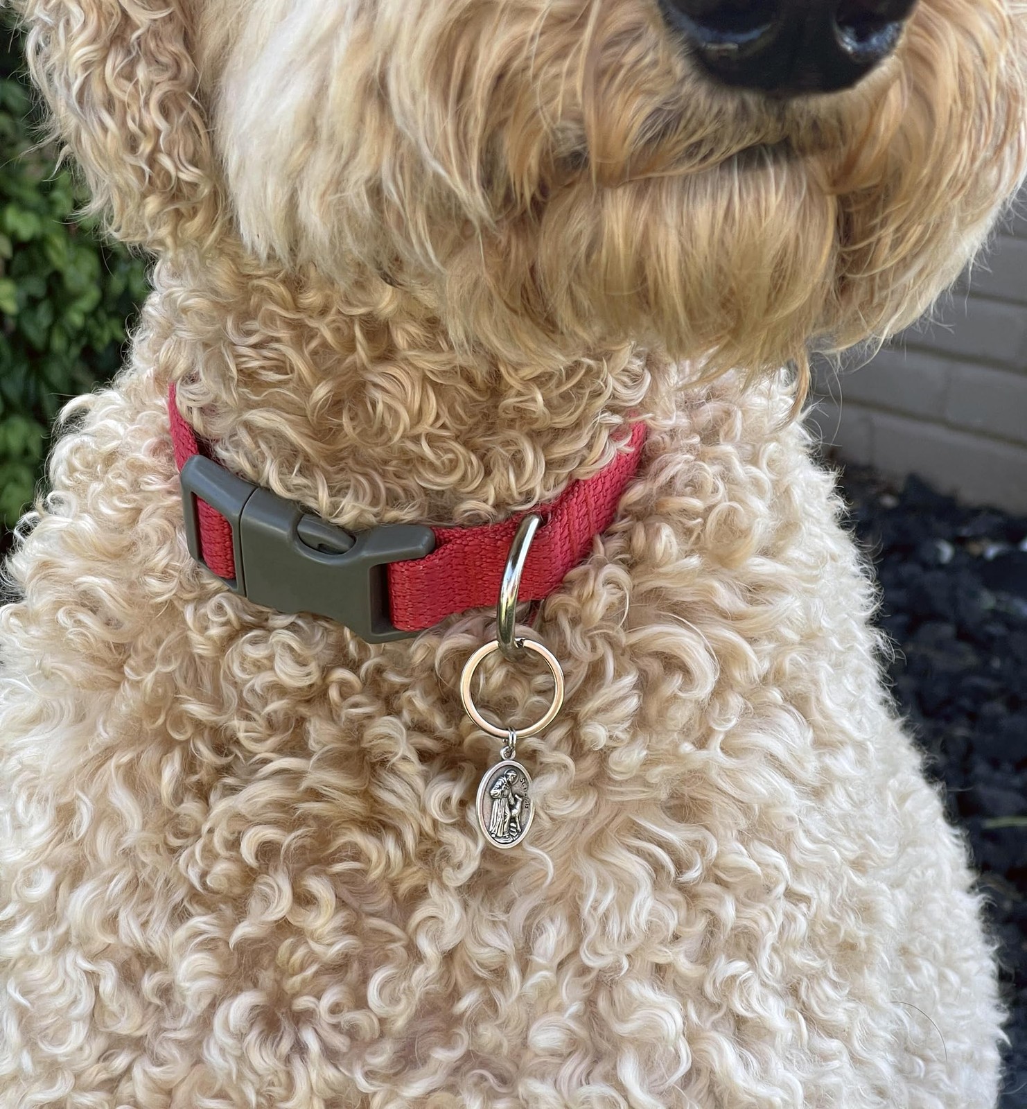 St Francis of Assisi Pendant for Pet Collar – St Francis Animal Tag with Spli…